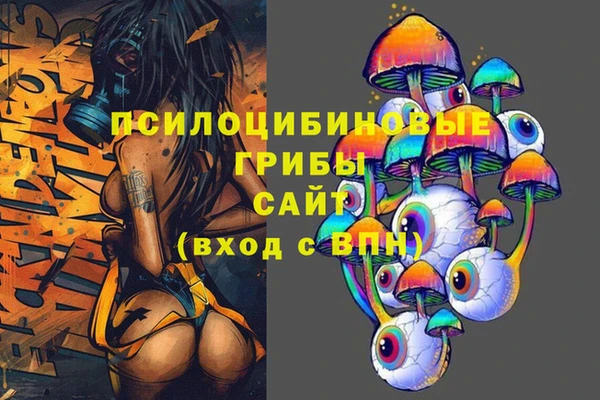 сатива Снежинск